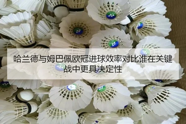 哈兰德与姆巴佩欧冠进球效率对比谁在关键战中更具决定性