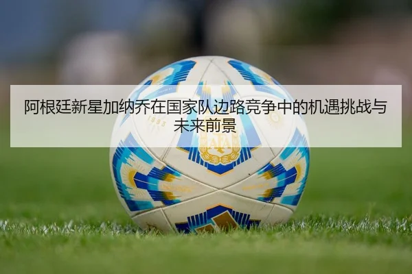 阿根廷新星加纳乔在国家队边路竞争中的机遇挑战与未来前景